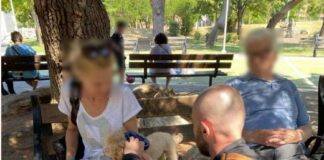 ΕΛ.ΑΣ. Θεσσαλονίκης: 31 Πρόστιμα σε Ιδιοκτήτες Ζώων για Παραβάσεις της Νομοθεσίας