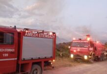 Πυρκαγιά στο Ωραιόκαστρο: Τέθηκε υπό Έλεγχο – Συνεχίζεται η Επιτήρηση