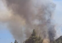 Φωτιά στη Χαλκιδική: Επικίνδυνη πυρκαγιά στη Μεταμόρφωση