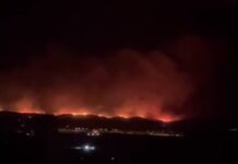 Μάχη με τις Φλόγες στην Μαυροράχη Άσσηρου: Ενισχύονται οι Δυνάμεις Πυρόσβεσης και με Διεθνή Συνδρομή, βίντεο