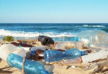 Μολυσμένη θάλασσα: Πώς να καταλάβετε αν το νερό κρύβει κινδύνους