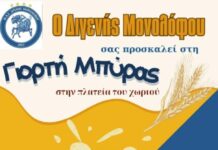 Γιορτή Μπύρας στον Μονόλοφο: Σας Περιμένει ο Διγενής για μια Καλοκαιρινή Βραδιά!