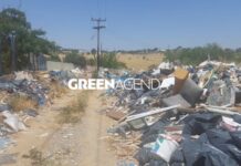 Θεσσαλονίκη: Περιβαλλοντική βόμβα ο μπαζότοπος άνωθεν του Περιφερειακού, βίντεο