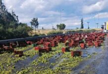 ΤΩΡΑ Κυκλοφοριακό Έμφραγμα στον Περιφερειακό Θεσσαλονίκης λόγω… Σταφυλιών – Χάρτης Κίνησης