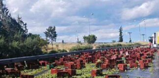 ΤΩΡΑ Κυκλοφοριακό Έμφραγμα στον Περιφερειακό Θεσσαλονίκης λόγω… Σταφυλιών – Χάρτης Κίνησης