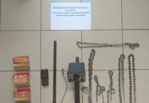 Συνελήφθη 62χρονος για κακουργηματική παράνομη υλοτομία