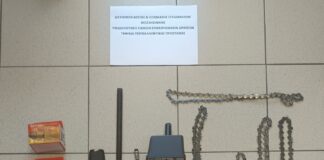 Συνελήφθη 62χρονος για κακουργηματική παράνομη υλοτομία