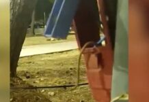 9 ετών κοριτσάκι υπέστη ηλεκτροπληξία από «γυμνά» καλώδια σε παιδική χαρά – Τι δηλώνει η μητέρα του παιδιού
