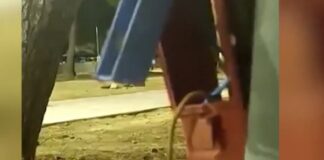 9 ετών κοριτσάκι υπέστη ηλεκτροπληξία από «γυμνά» καλώδια σε παιδική χαρά – Τι δηλώνει η μητέρα του παιδιού