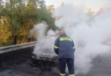 Φωτιά σε ΙΧ στην Ε. Ο. Θεσσαλονίκης-Σερρών - Στην κατάσβεση και η Εθ.ΕΛ.Ο.Δ. Δρυμού
