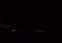 Χαλκιδική: Εγκύκλιος ΥΠΕΝ για άμεση απομάκρυνση του λύκου που επιτέθηκε σε 5χρονη – «Τελική λύση η θήρευση»