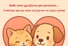 «Κάθε Σπίτι Χρειάζεται μια Φατσούλα»: Νέα Καμπάνια της Οργάνωσης «Αντικρίση» για την Υιοθεσία Αδέσποτων