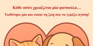«Κάθε Σπίτι Χρειάζεται μια Φατσούλα»: Νέα Καμπάνια της Οργάνωσης «Αντικρίση» για την Υιοθεσία Αδέσποτων