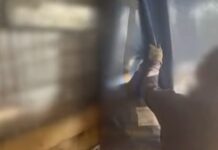 Παράνομη Μεταφορά Αλλοδαπών: Συνελήφθη 47χρονος Οδηγός Φορτηγού στους Ευζώνους με 10 Κρυμμένους Μετανάστες, ΒΙΝΤΕΟ