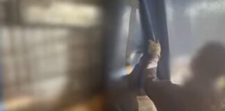 Παράνομη Μεταφορά Αλλοδαπών: Συνελήφθη 47χρονος Οδηγός Φορτηγού στους Ευζώνους με 10 Κρυμμένους Μετανάστες, ΒΙΝΤΕΟ