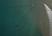 Ocean with David Attenborough: Η Νέα Ταινία που Σηματοδοτεί την Έναρξη της Πρωτοβουλίας Revive Our Ocean Greece