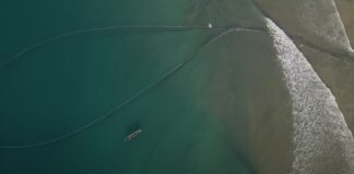 Ocean with David Attenborough: Η Νέα Ταινία που Σηματοδοτεί την Έναρξη της Πρωτοβουλίας Revive Our Ocean Greece