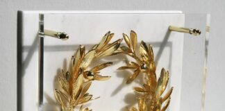 Τιμή στους Πρωταθλητές: Ο Δήμος Ωραιοκάστρου Βραβεύει Διακριθέντες Αθλητές και Αθλητές Ε.Σ.Α.μεΑ. των Ετών 2022-2024