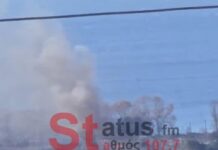 Μεγάλη φωτιά στη Μίκρα: Συναγερμός στην Πυροσβεστική – Καπνοί ορατοί από χιλιόμετρα, βίντεο