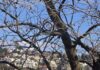 Ο καιρός τη Δευτέρα: Ανεβαίνει ο υδράργυρος με τοπικές συννεφιές και εξασθενημένους ανέμους