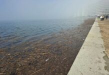 Αποκρουστικό θέαμα με καλάμια, φελιζόλ και πλαστικό στην παραλία της Θεσσαλονίκης, βίντεο