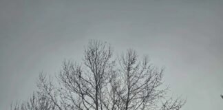 Καιρός Σήμερα: Ανεβαίνει η θερμοκρασία αλλά ο «Ερμίνιο» επιμένει με τοπικές βροχές