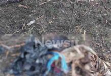 Θρίλερ στη Χαλκιδική: Ανθρώπινα οστά μέσα σε σακούλα βρέθηκαν στον Γλαρόκαβο