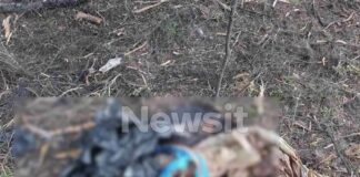 Θρίλερ στη Χαλκιδική: Ανθρώπινα οστά μέσα σε σακούλα βρέθηκαν στον Γλαρόκαβο