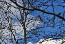 Ηλιοφάνεια και άνοδος της θερμοκρασίας στην εκκίνηση της Μεγάλης Εβδομάδας