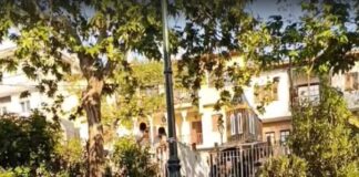 Η άγρια ζωή «πολιορκεί» το κέντρο της Θεσσαλονίκης – Αγριογούρουνο κόβει βόλτες, βίντεο