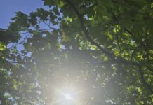 Ο καιρός σήμερα: Διατήρηση των υψηλών θερμοκρασιών και τοπικές νεφώσεις