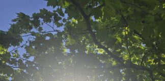 Ο καιρός σήμερα: Μικρή άνοδος της θερμοκρασίας με μεσημεριανή αστάθεια στα ορεινά