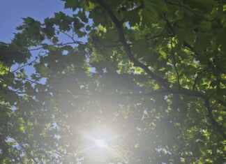 Ο καιρός την Κυριακή: Ενισχύεται η ζέστη με 40άρια στα ηπειρωτικά και απογευματινή αστάθεια στα ορεινά