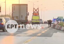 Κυκλοφοριακό χάος στη Σίνδο: Αγελάδα μπήκε αντίθετα στην Εθνική Οδό