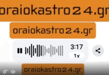 «Λογιστής» σε απόγνωση: Κάτοικος Ωραιοκάστρου «ξεσκέπασε» και «γλέντισε» απατεώνες σε ζωντανή σύνδεση