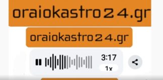 «Λογιστής» σε απόγνωση: Κάτοικος Ωραιοκάστρου «ξεσκέπασε» και «γλέντισε» απατεώνες σε ζωντανή σύνδεση