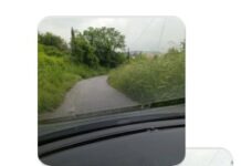 Μελισσοχώρι: Δρόμοι «ζούγκλα» και πλήρης εγκατάλειψη – Οργή κατοίκων για την αδιαφορία του Δήμου