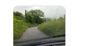 Μελισσοχώρι: Δρόμοι «ζούγκλα» και πλήρης εγκατάλειψη – Οργή κατοίκων για την αδιαφορία του Δήμου