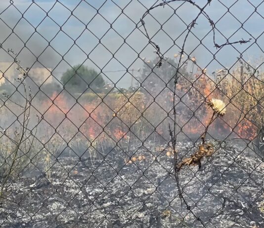 Φωτιά ΤΩΡΑ στο Ωραιόκαστρο