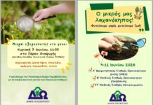 Παιδικοί Σταθμοί Δ. Ωραιοκάστρου: Γιορτάζουν την Ημέρα Περιβάλλοντος με βιωματικές δράσεις και λαχανόκηπους