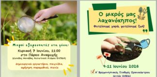 Παιδικοί Σταθμοί Δ. Ωραιοκάστρου: Γιορτάζουν την Ημέρα Περιβάλλοντος με βιωματικές δράσεις και λαχανόκηπους