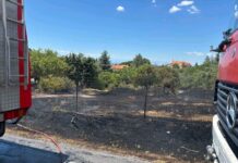 Υπό μερικό έλεγχο η φωτιά στο Ωραιόκαστρο – Μεγάλη κινητοποίηση δίπλα σε σπίτια