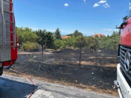 Υπό μερικό έλεγχο η φωτιά στο Ωραιόκαστρο – Μεγάλη κινητοποίηση δίπλα σε σπίτια