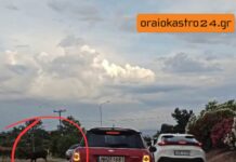 Αγριογούρουνο συγκρούστηκε με μηχανή στο Ωραιόκαστρο – Από τύχη δεν υπήρξαν σοβαροί τραυματισμοί