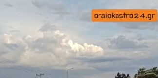 Αγριογούρουνο συγκρούστηκε με μηχανή στο Ωραιόκαστρο – Από τύχη δεν υπήρξαν σοβαροί τραυματισμοί