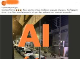 Fake News με αγριογούρουνα στο Ωραιόκαστρο: Η «παγίδα» της AI φωτογραφίας που έγινε viral και προκάλεσε αναστάτωση