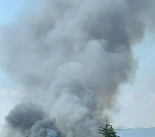 Δήμος Θερμαϊκού: Ανοιχτή επιστολή Θ. Τζέκου για άμεση μετεγκατάσταση των Ρομά από τα Τσαΐρια μετά τη νέα φωτιά