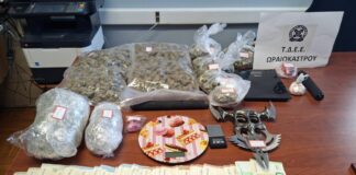 Εξάρθρωση εγκληματικής οργάνωσης στο Ωραιόκαστρο: Μεγάλη επιχείρηση της Ασφάλειας με συλλήψεις για κοκαΐνη και κάνναβη