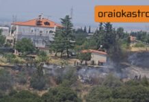ΤΩΡΑ Συναγερμός στο Ωραιόκαστρο: Φωτιά σε ξερά χόρτα δίπλα σε σπίτια – Μεγάλη κινητοποίηση για να μην επεκταθεί σε ρέμα, ΒΙΝΤΕΟ