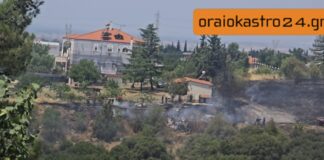ΤΩΡΑ Συναγερμός στο Ωραιόκαστρο: Φωτιά σε ξερά χόρτα δίπλα σε σπίτια – Μεγάλη κινητοποίηση για να μην επεκταθεί σε ρέμα, ΒΙΝΤΕΟ